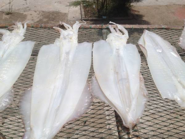 Mực một nắng đặc sản Vũng Tàu