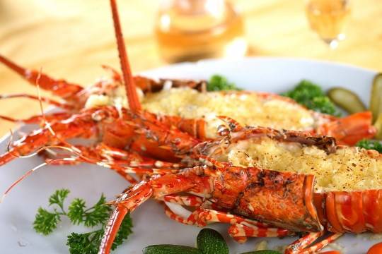 dacsancatba9 7 đặc sản ngon ngất ngây của đảo Cát Bà