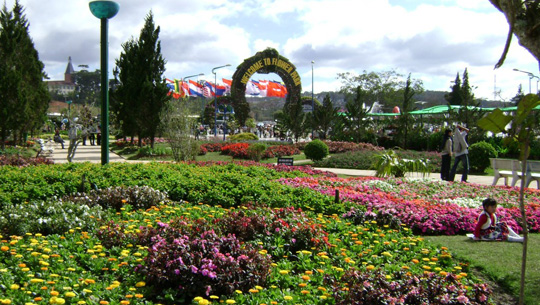 Đà Lạt hoa Đà Lạt hoa