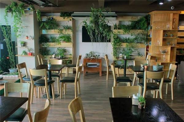 Impiano Coffee Shop quán cà phê sách Hà Nội trên cao Impiano Coffee Shop quán cà phê sách Hà Nội trên cao