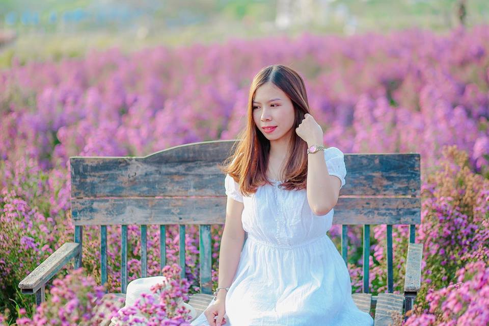 Tới đây bạn sẽ bị thu hút bởi sắc màu từ hoa cúc hoạ mi, hồng tố nữ, hoa súng tím, cho đến loài hoa thạch thảo lạ mắt...