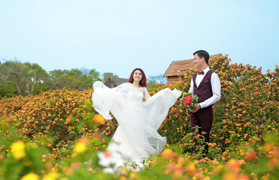 Nhiều cặp đôi cũng chọn nơi này để chụp ảnh cưới.