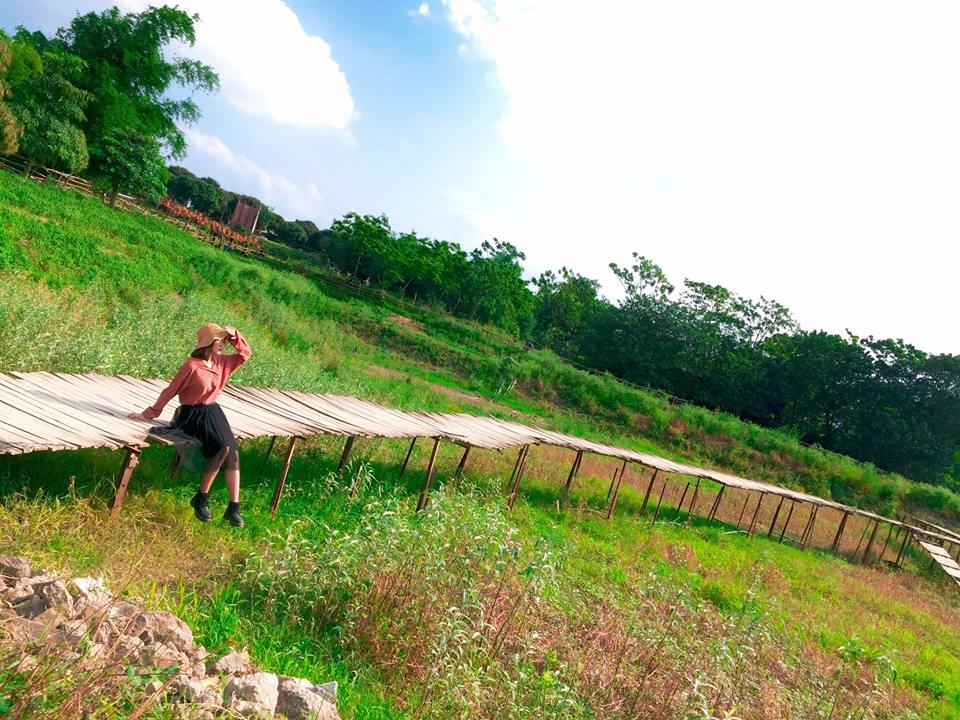 Để tới đây xuất phát từ đê Long Biên bạn đi theo hướng cầu Vĩnh Tuy vào khoảng 1,5km, rẽ phải vào phố Thạch Cầu khoảng 1km nữa là tới.