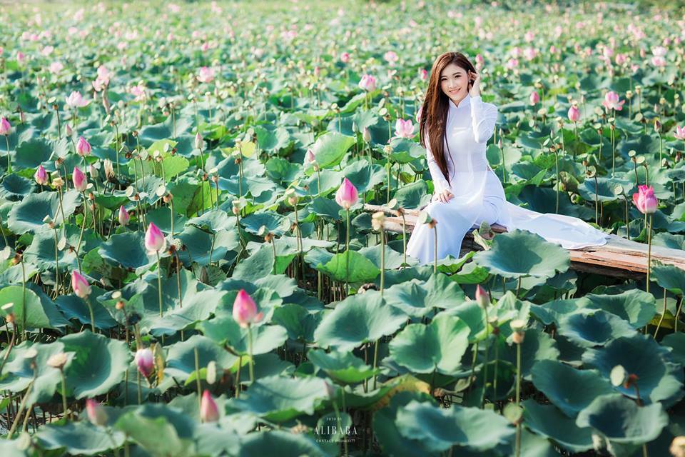 Ánh sáng ban mai tại đầm sen Tam Đa