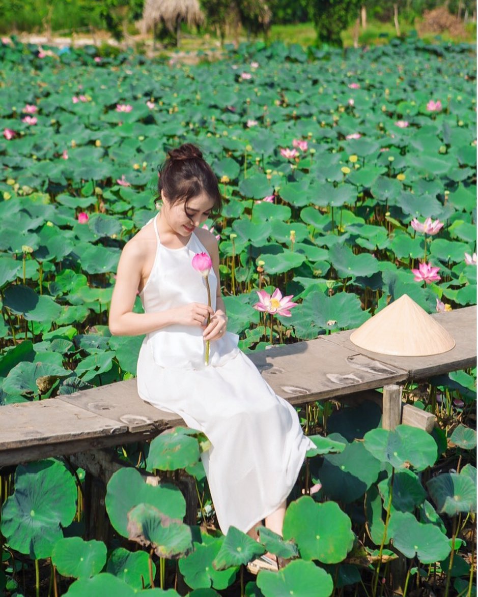 Check-in đầm sen Tam Đa Sài Gòn