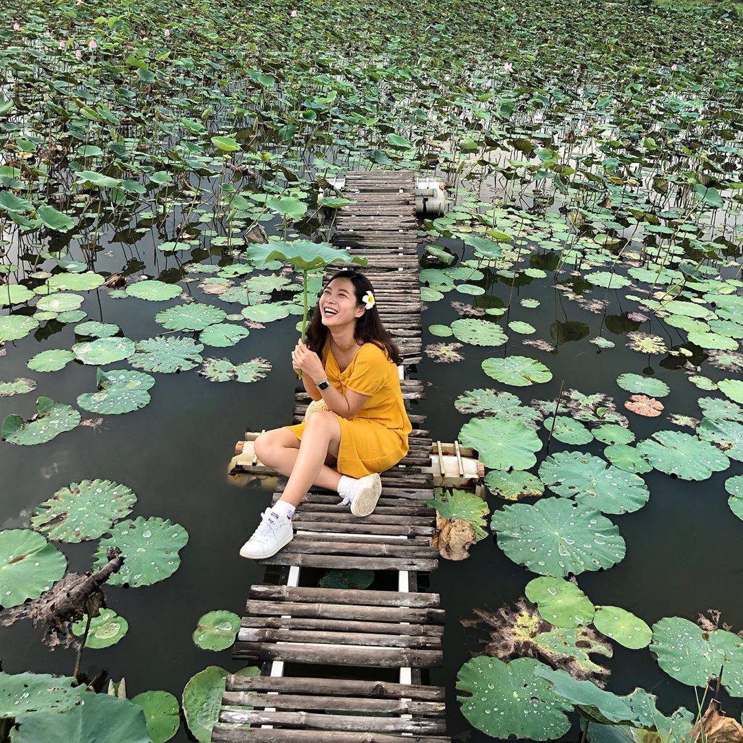 Hoa sen lung linh đầm sen Tam Đa