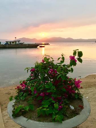 Ảnh: FB Bánh Sữa Island