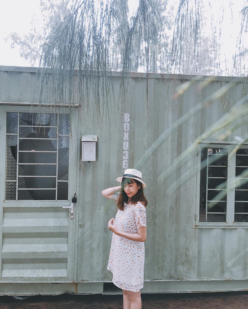 Bình minh trên đảo Cái Chiên