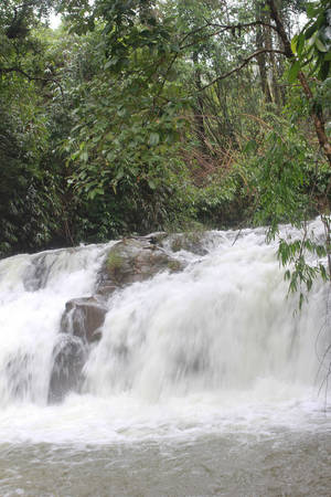 Khung cảnh thiên nhiên nguyên sơ quanh khu vực thác