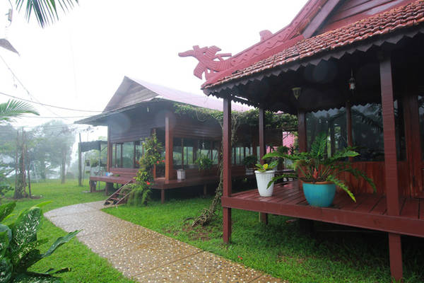 Những đồi chè xanh mướt bao quanh khuôn viên chùa Di Đà