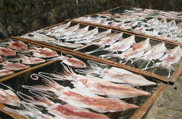 Mực một nắng đặc sản Cù Lao Chàm