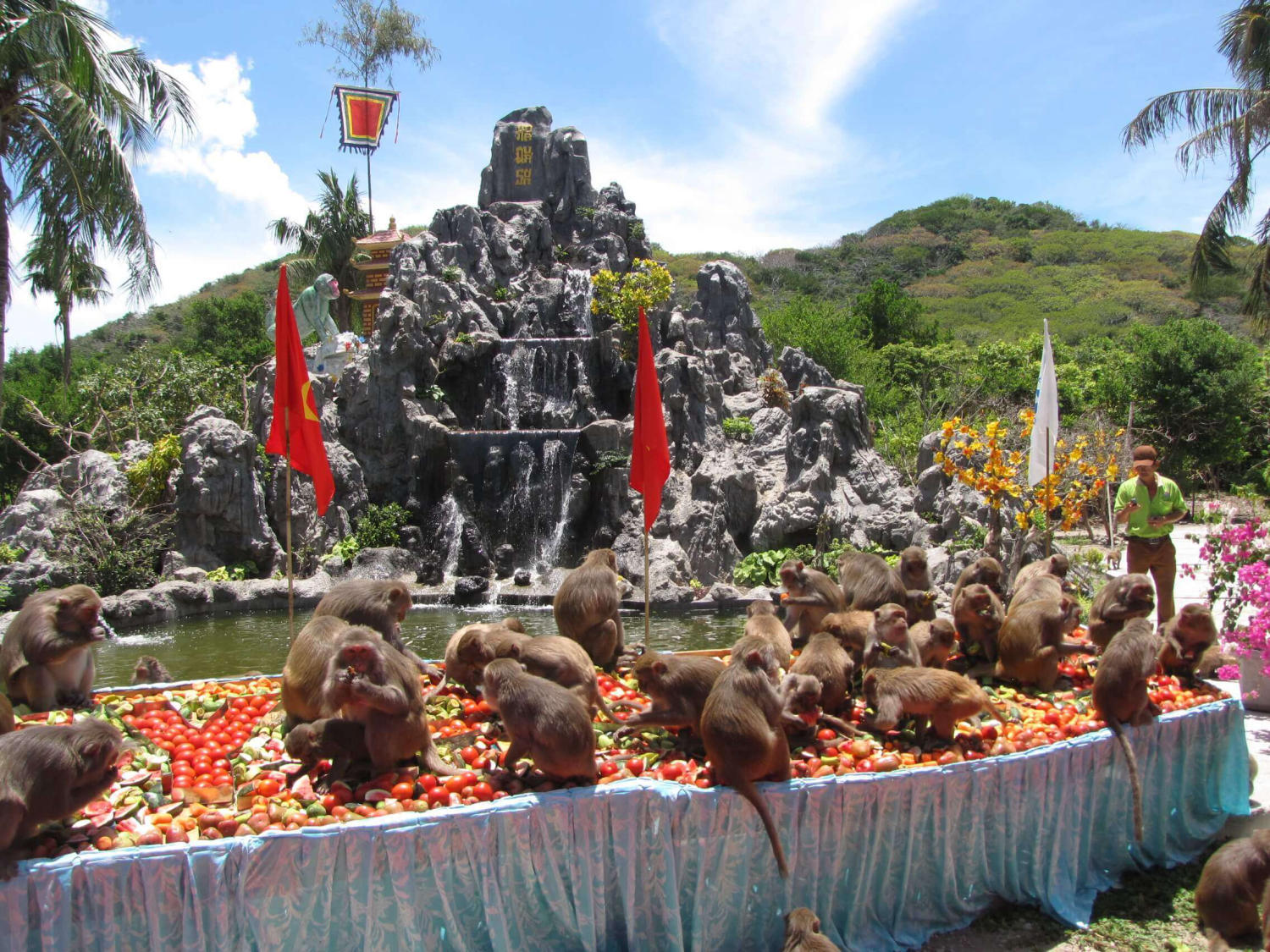 Đảo khỉ Nha Trang – “Hoa quả sơn” giữa vùng biển xinh đẹp