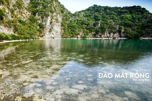 dao-mat-rong-con-mat-huyen-bi-tren-vinh-ha-long-ivivu-10 dao-mat-rong-con-mat-huyen-bi-tren-vinh-ha-long-ivivu-10