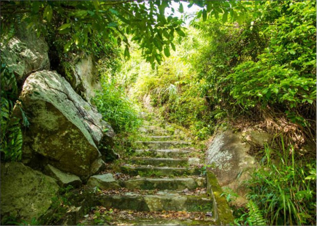 Đường lên trạm biên phòng trên đảo Sơn Chà