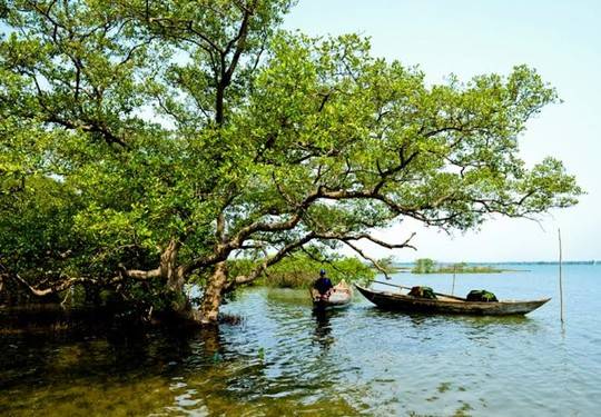 Người dân đảo Tam Hải sống chủ yếu bằng nghề giăng câu, thả lưới