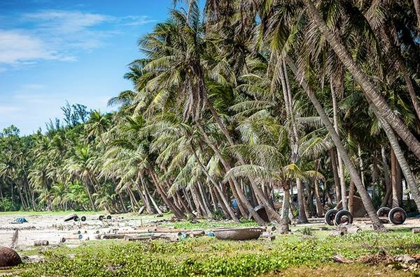 Hoạt động trên đảo Tam Hải