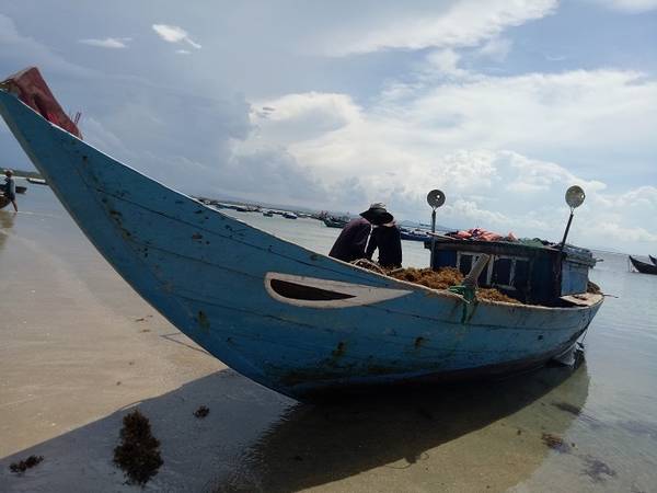 Ở lại một ngày trên hòn đảo mới trải nghiệm được hết những điều thú vị mà thiên nhiên dành tặng cho nơi này. Du khách có thể đặt phòng nghỉ giá 100.000 đồng một đêm, ngắm bình minh trên biển vào sáng hôm sau và trải nghiệm đánh bắt cùng ngư dân.