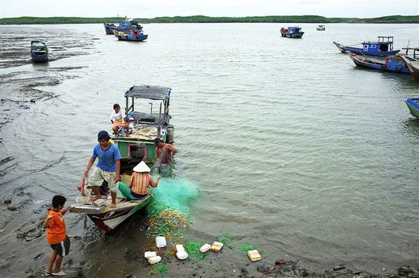 Khung cảnh bình yên hiếm có.