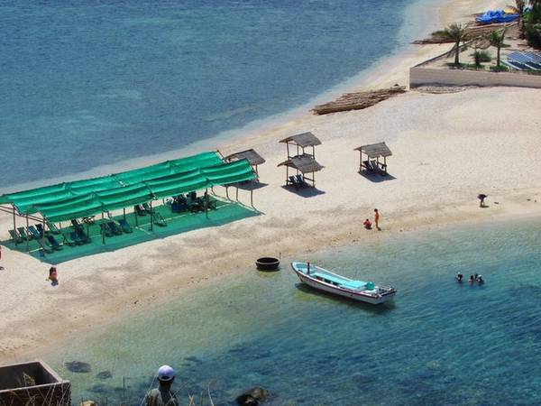 Cách đi du lịch Đảo Yến Nha Trang tự túc và theo tour