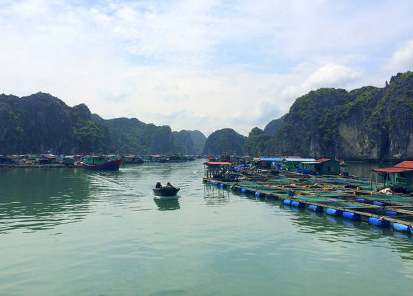 Ghé thăm ngôi làng nổi ở đảo Cát Bà