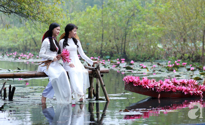 Những tà áo trắng tinh khôi của những cô gái bên sắc tím của hoa.