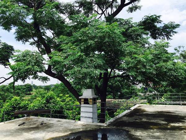 Xích đu gỗ lãng mạn trên sân thượng