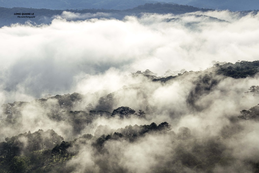 day-tu-3h-sang-san-bien-may-phu-kin-da-lat-ivivu-11 day-tu-3h-sang-san-bien-may-phu-kin-da-lat-ivivu-11