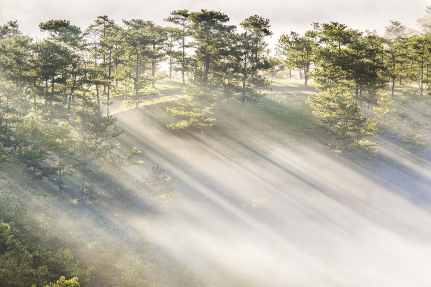 day-tu-3h-sang-san-bien-may-phu-kin-da-lat-ivivu-13 day-tu-3h-sang-san-bien-may-phu-kin-da-lat-ivivu-13