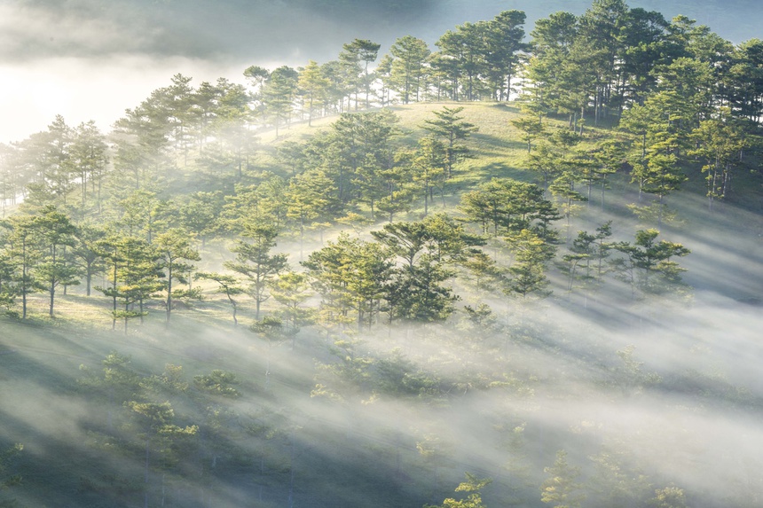 day-tu-3h-sang-san-bien-may-phu-kin-da-lat-ivivu-14 day-tu-3h-sang-san-bien-may-phu-kin-da-lat-ivivu-14