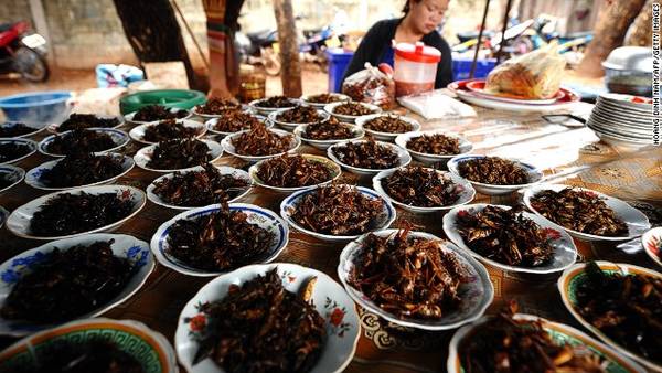 de những món ăn tuyệt vời được chế biến từ côn trùng
