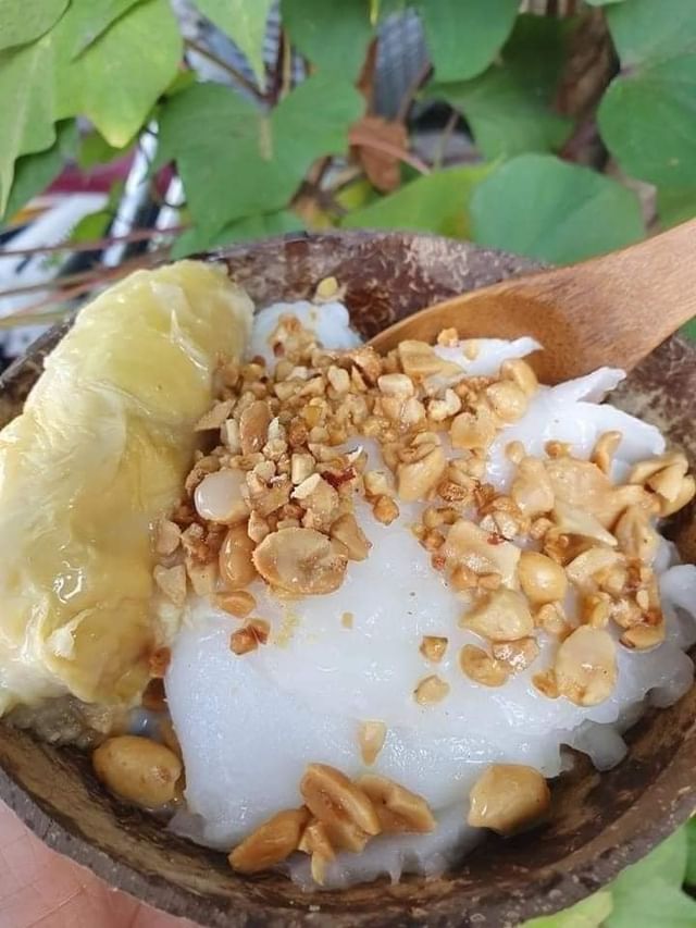 Dừa sáp Giồng Trôm