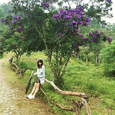 Ảnh: Instagram @khoailangvameo