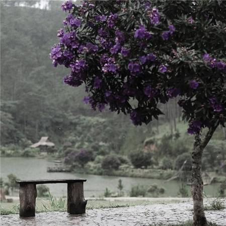 Ảnh: Instagram @binhnguyenphotos