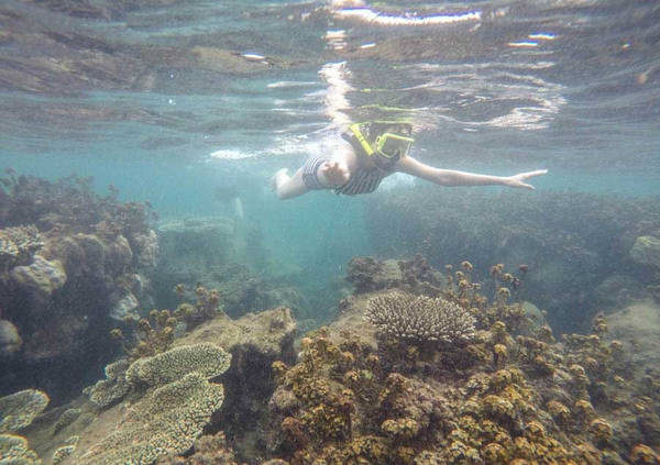 Tôi không nghĩ san hô ở đây đẹp đến thế, hơn cả Cù Lao Chàm, Koh Rong, Koh Samui...