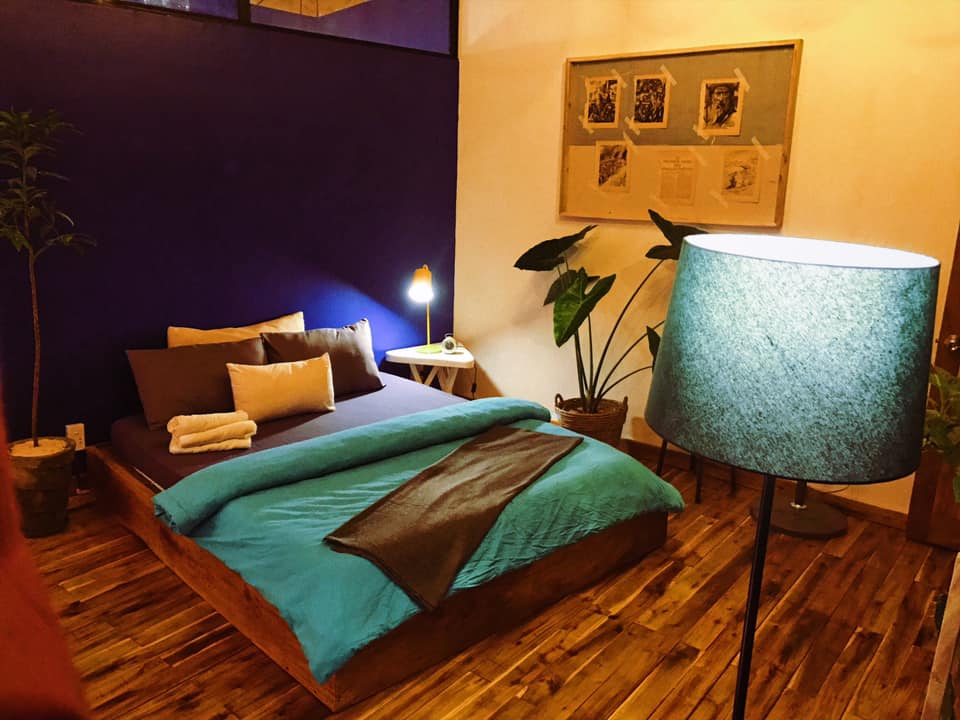 The Fish Homestay Cafe Phú Quốc góc check-in đầy cây xanh
