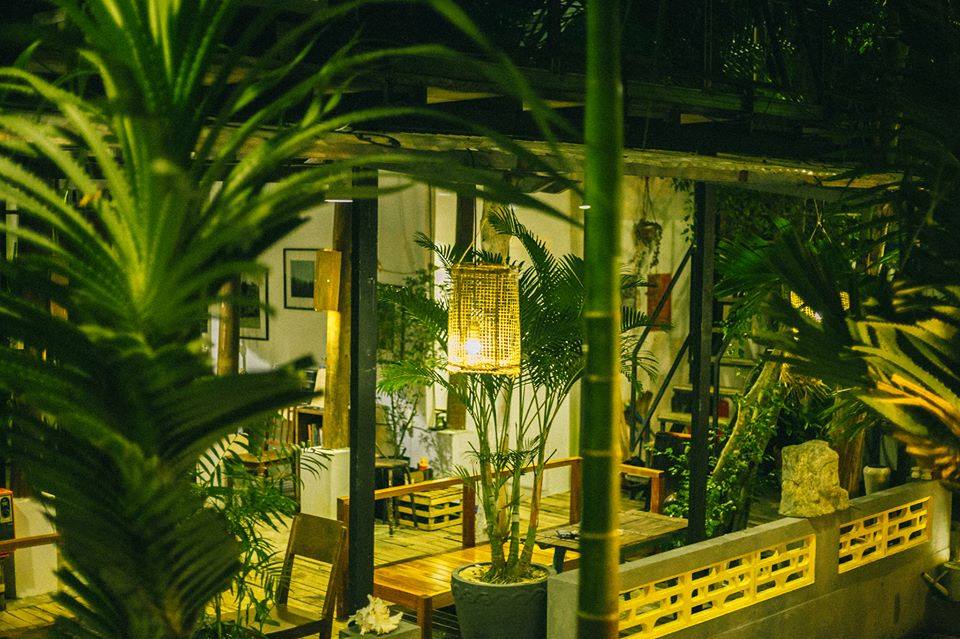 View rừng tại The Fish Homestay Cafe Phú Quốc