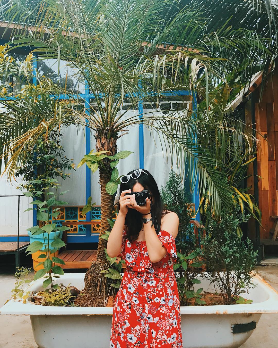 Vườn cây The Fish Homestay Cafe Phú Quốc check-in đẹp