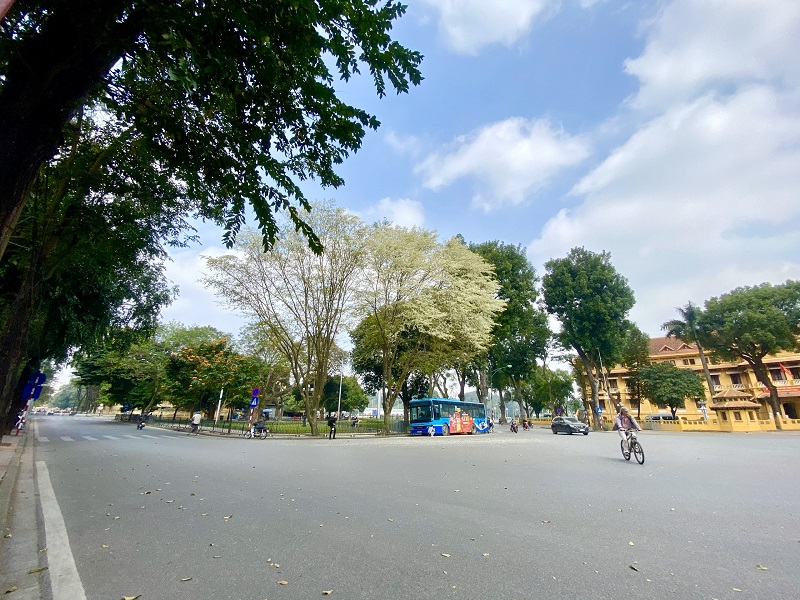 Những sắc màu đan xen mùa hoa sưa Hà Nội.