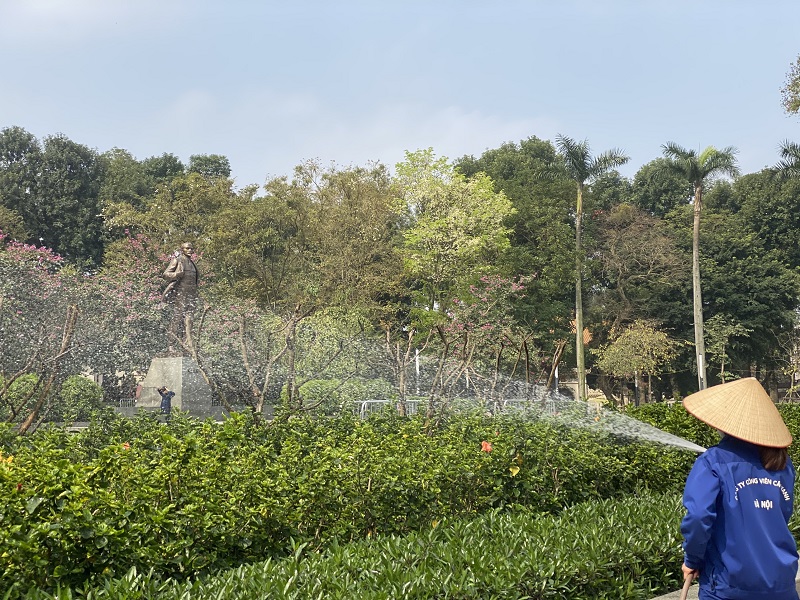 Những ngày này dạo bước trên đường phố Thủ đô sẽ khiến nhiều người ngẩn ngơ với sắc trắng tinh khôi của hoa sưa trên những thân cây khẳng khiu trụi lá.