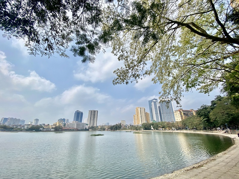 Thời điểm giao mùa cuối tháng 2 đầu tháng 3 với nắng tỏa kết hợp se se lạnh cũng là lúc mùa hoa sưa Hà Nội nở rộ nhất.