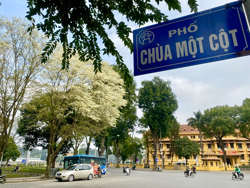 Hoa sưa trắng một góc vườn hoa Lê-Nin, làm khung cảnh thơ mộng hơn giữa thời tiết giao mùa.