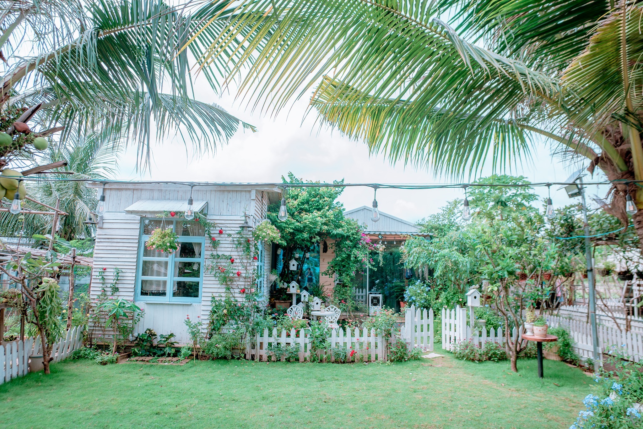Mimosa Farmstay điểm cắm trại gia đình