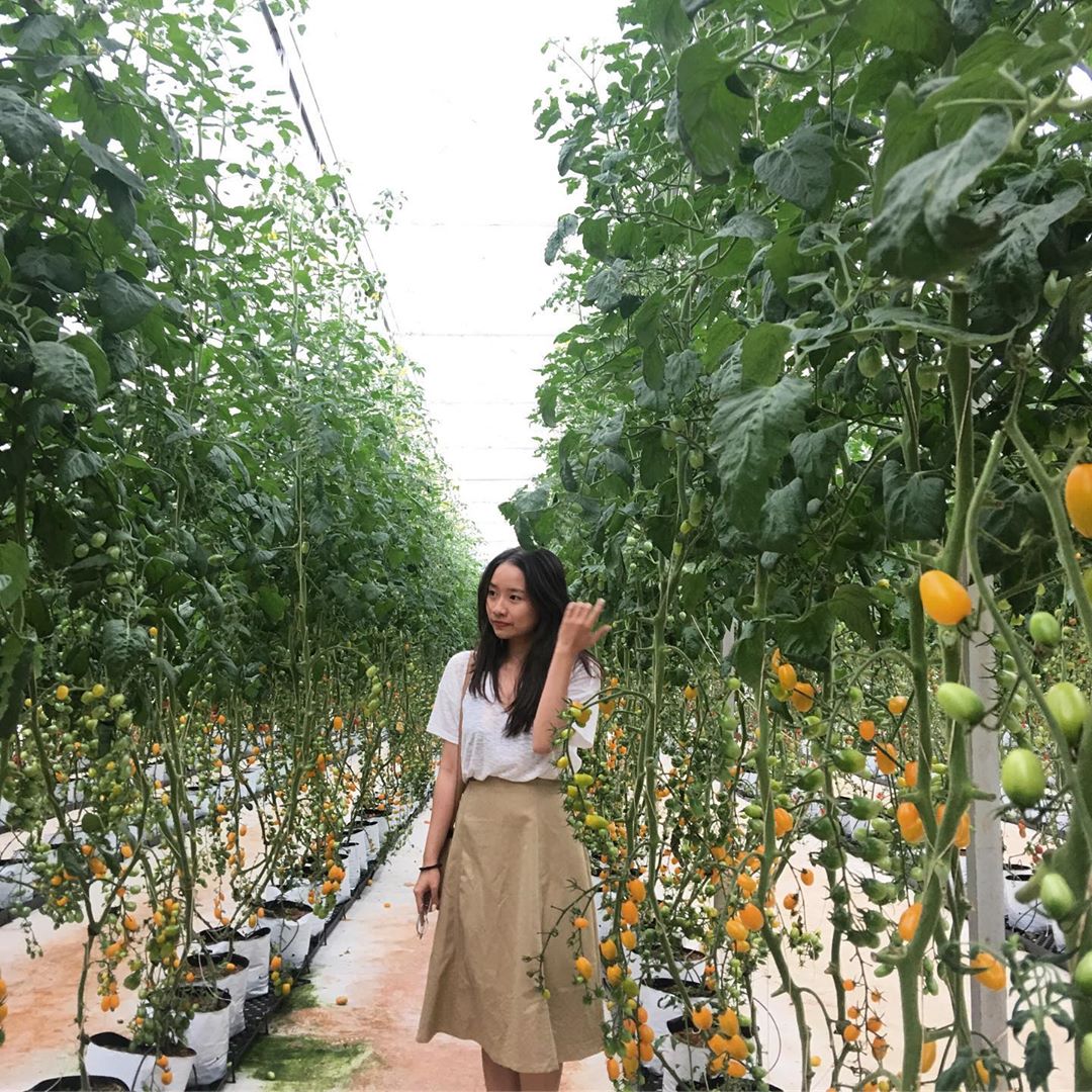 Nông trại cún và cánh đồng hoa Đà Lạt