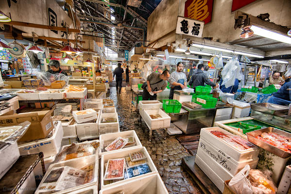Chợ cá Tsukiji chợ ẩm thực châu Á tại Tokyo Nhật Bản