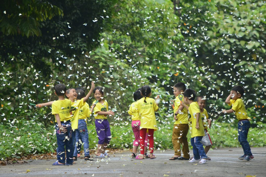 Mùa bướm ở Cúc Phương - điểm đến chữa lành gần Hà Nội