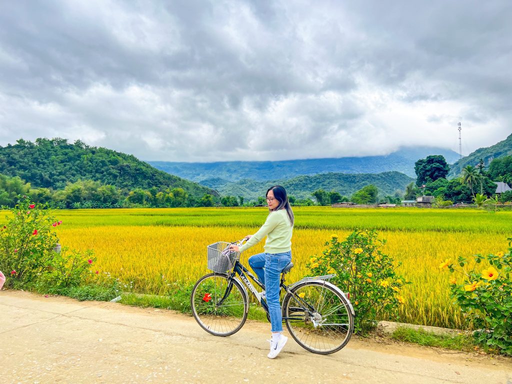 Lúa chín ở Mai Châu - điểm đến chữa lành gần Hà Nội