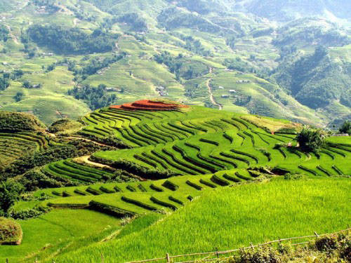 Thung lũng Mai Châu thanh bình - Địa điểm dã ngoại dịp lễ 30/4