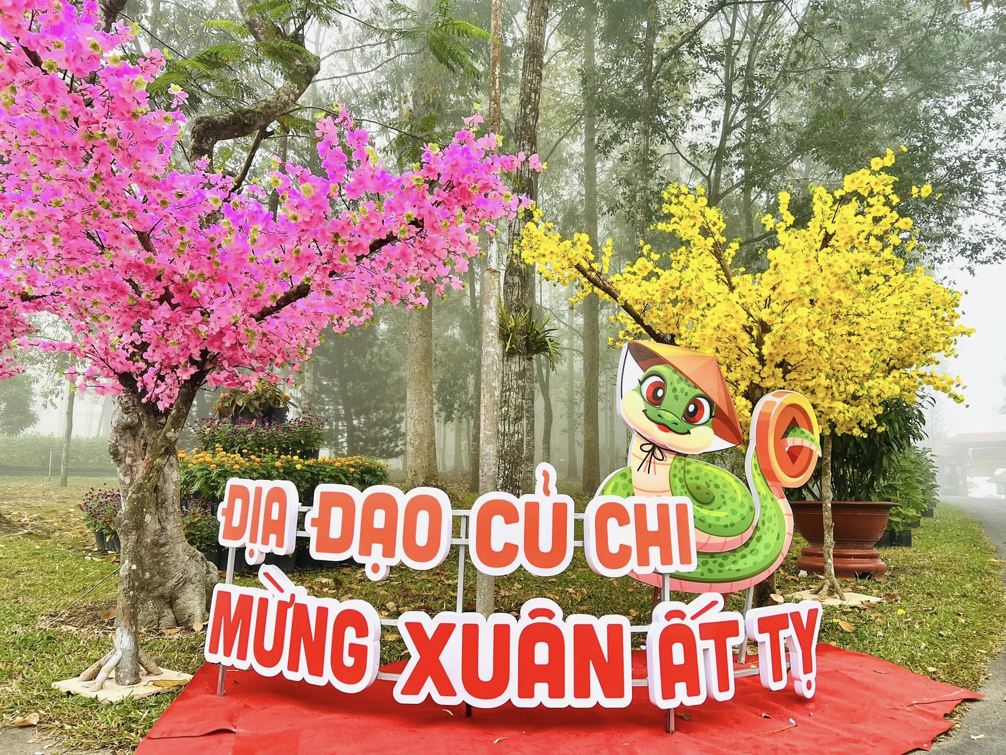 5 điểm đến thiên nhiên gần TP Hồ Chí Minh cho chuyến du xuân đầu năm