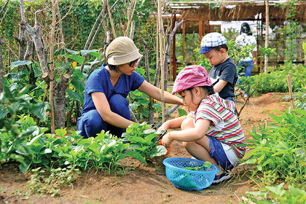 Phụ huynh và các bé hái rau tại Family Garden Thảo Điền