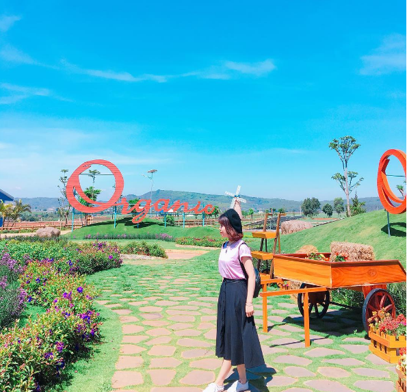 Ảnh: @thuytrangsr31